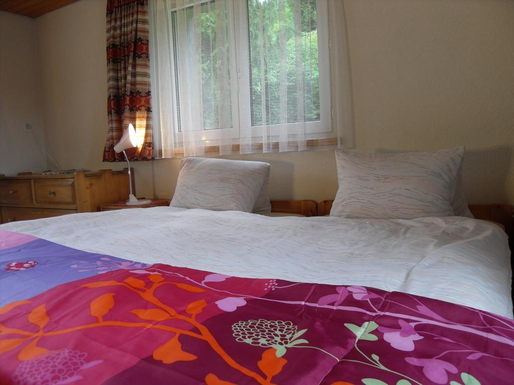Hotel Alpina Unterwasser ภายนอก รูปภาพ